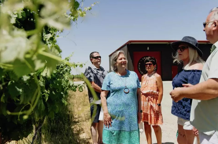 Sue Tipton of Acquiesce Winery featured in San Francisco Chronicle for pioneering Rhône-style white and rosé wines in Lodi, California
