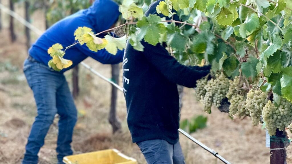 Acquiesce Staff Appreciation