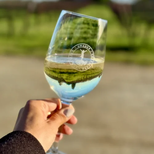 A hand holding a glass of Acquiesce Winery's Lodi white wine, with their regeneratively farmed vineyard beautifully reflected through the glass.